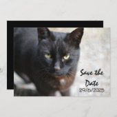 Schwarze Katze Save the Date Einladungskarte (Vorne/Hinten)