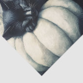 Schwarze Katze Schlafen auf einem weißen Pumpkin-D Seidenpapier (Ausschnitt)