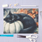 Schwarze Katze Schlafen auf einem weißen Pumpkin-D Seidenpapier (Handwerk)