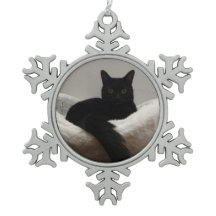 Schwarze Katze
