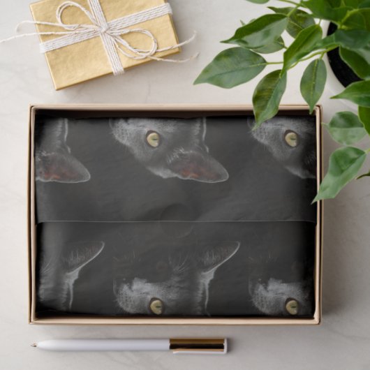 Schwarze Katze Seidenpapier (Geschenk)