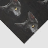 Schwarze Katze Seidenpapier (Ausschnitt)