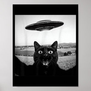 Schwarze Katze Selfie Ufo Alien Lustige Geschenke  Poster