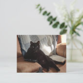 Schwarze Katze sieht aus wie Boss Postkarte (Stehend Vorderseite)