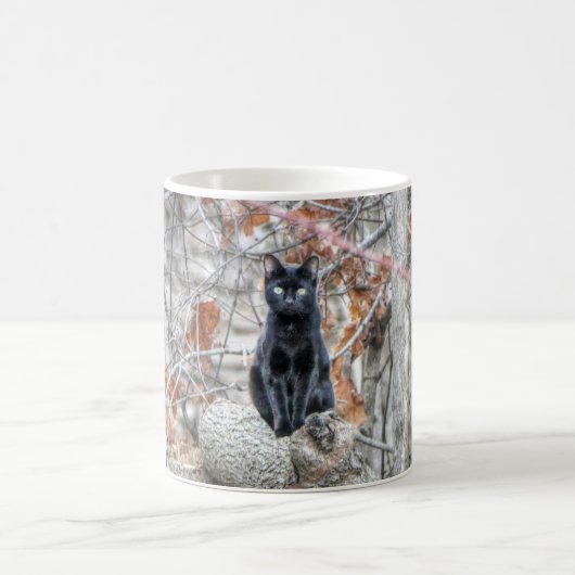 Schwarze Katze sitzt draußen Kaffeetasse (Mittel)