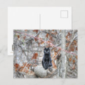 Schwarze Katze sitzt im Freien Postkarte (Vorne/Hinten)