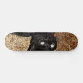 schwarze Katze Skateboard (Horizontal)