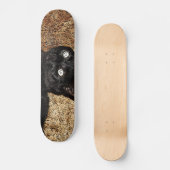 schwarze Katze Skateboard (Vorderseite)