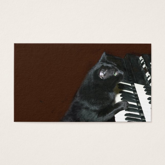 Schwarze Katze spielt Orgel (Vorderseite)