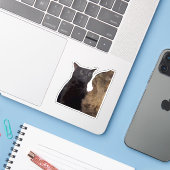 Schwarze Katze starrt ins Leere Aufkleber (Laptop mit iPhone)