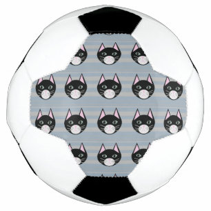 Schwarze Katze, Streifen Fußball