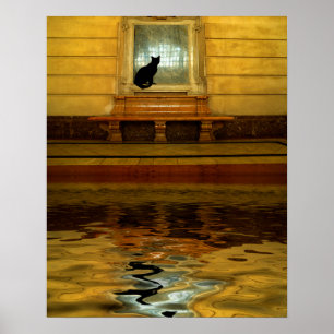 Schwarze Katze über Wasser Poster
