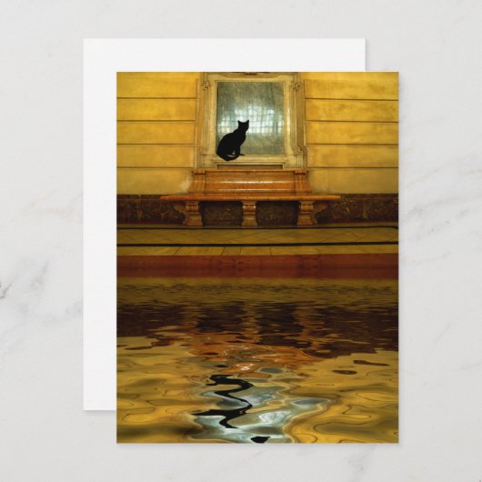 Schwarze Katze über Wasser Postkarte (Vorne/Hinten)