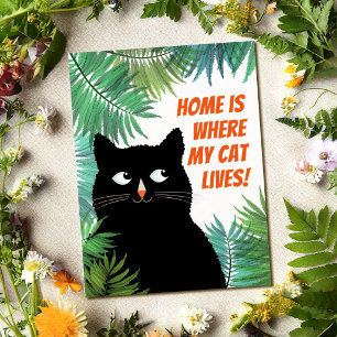 Schwarze Katze Umzugsankündigung Postkarte