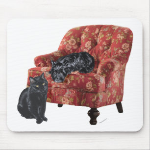 Schwarze Katze und Schottischer Terrier in einem r Mousepad