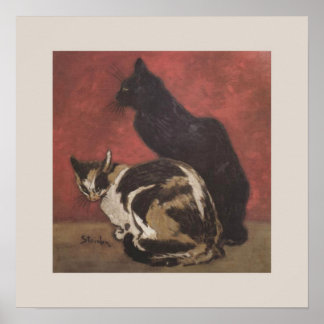 Schwarze Katze und Tortoiseshell Poster