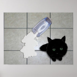 Schwarze Katze und verschüttete Milch Poster