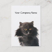 SCHWARZE KATZE UND WEISSE KATZE VISITENKARTE (Rückseite)