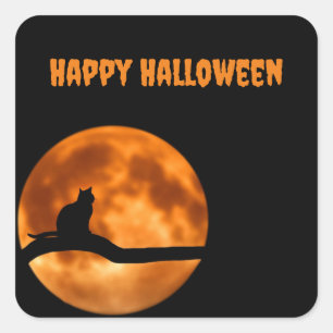 Schwarze Katze unter Orange Moon Aufkleber