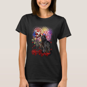 Schwarze Katze Usa Flagge Feuerwerk Patriotisches T-Shirt