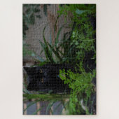 Schwarze Katze versteckt in den Pflanze, 1014 Stüc Puzzle (Vertikal)