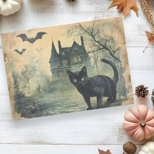Schwarze Katze Vintage Halloween Decoupage  Seidenpapier