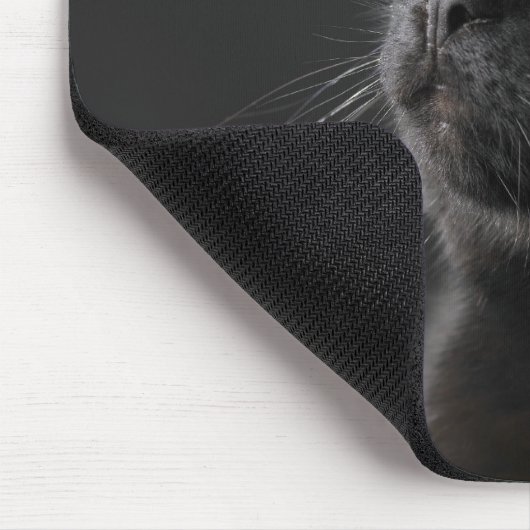 Schwarze Katze vor schwarzem Hintergrund, nah-up Mousepad (Ecke)