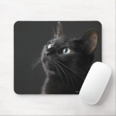 Schwarze Katze vor schwarzem Hintergrund, nah-up Mousepad (Mit Mouse)