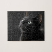 Schwarze Katze vor schwarzem Hintergrund, nah-up Puzzle (Horizontal)