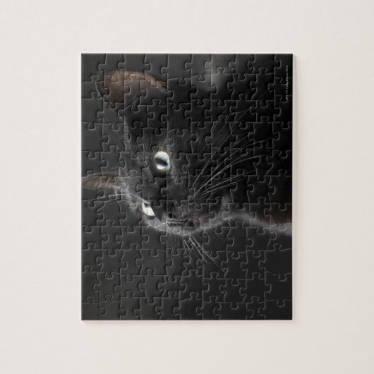 Schwarze Katze vor schwarzem Hintergrund, nah-up Puzzle (Vertikal)
