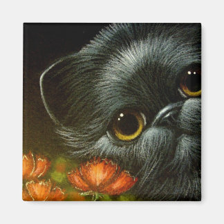 SCHWARZE KATZE w POPPY BLUME Magnet