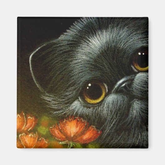 SCHWARZE KATZE w POPPY BLUME Magnet (Vorne)
