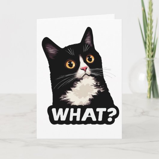 Schwarze Katze Was? Karte (Vorderseite)