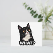 Schwarze Katze Was? Postkarte (Stehend Vorderseite)