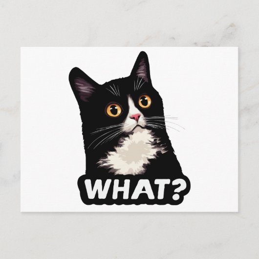 Schwarze Katze Was? Postkarte (Vorderseite)