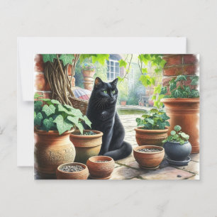 Schwarze Katze Watching Catnip Grow Niedlich Postkarte