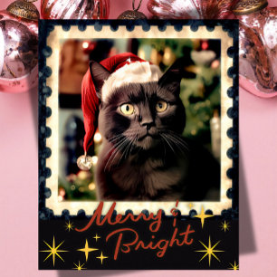 Schwarze Katze Weihnachten