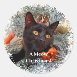 Schwarze Katze, Weihnachten Runder Aufkleber