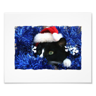 Schwarze Katze, Weihnachtsmannmütze, blaue Tinte, Fotodruck