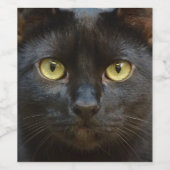 Schwarze Katze Weinetikett (Einzelnes Label)