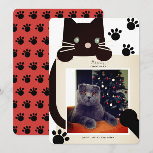 Schwarze Katze Weiße Weihnachtskarte Foto Weihnach Einladung