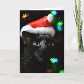 Schwarze Katze zu Weihnachten