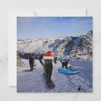 Schwarze Katzen auf Snowboards Grußkarte zum Aufkl Karte