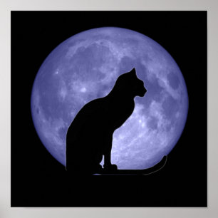 Schwarze Katzen-blauer Mond-Plakat-Druck Poster