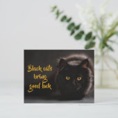 Schwarze Katzen bringen Viel Glück/ Personalisiert Postkarte (Stehend Vorderseite)