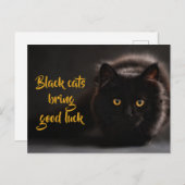 Schwarze Katzen bringen Viel Glück/ Personalisiert Postkarte (Vorne/Hinten)