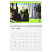 Schwarze Katzen des Kalenders der Welt2018 Kalender (Mär 2026)
