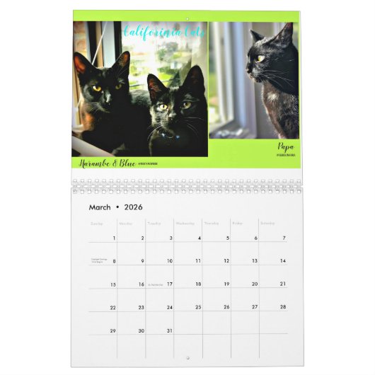 Schwarze Katzen des Kalenders der Welt2018 Kalender (Mär 2026)