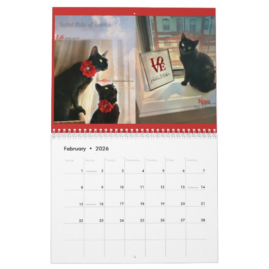 Schwarze Katzen des Kalenders der Welt2018 Kalender (Feb 2026)