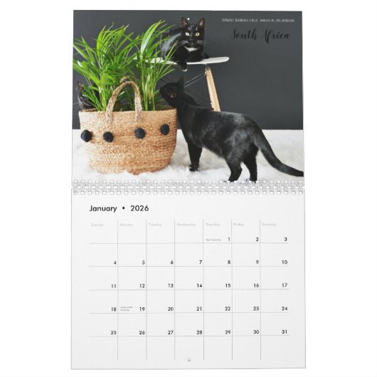 Schwarze Katzen des Kalenders der Welt2018 Kalender (Jan 2026)